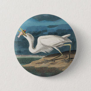 Great White Heron Audubon Bird Wildlife Painting Button