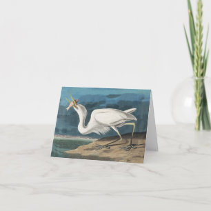Great White Heron Audubon Bird Wildlife Painting Dankeskarte