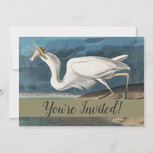 Great White Heron Audubon Bird Wildlife Painting Einladung (Vorderseite)