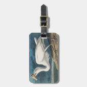 Great White Heron Audubon Bird Wildlife Painting Gepäckanhänger (Vorderseite vertikal)