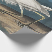 Great White Heron Audubon Bird Wildlife Painting Geschenkpapier (Ecke)