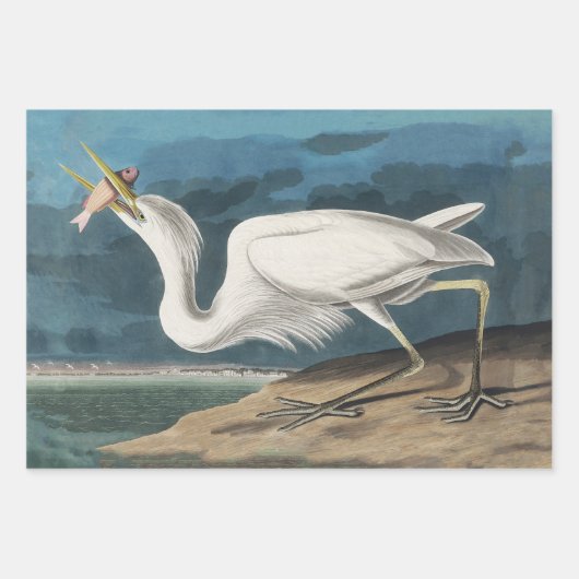 Great White Heron Audubon Bird Wildlife Painting Geschenkpapier Set (Vorderseite)
