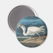 Great White Heron Audubon Bird Wildlife Painting Magnet (Vorderseite/Rückseite)