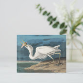 Great White Heron Audubon Bird Wildlife Painting Postkarte (Stehend Vorderseite)