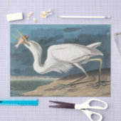 Great White Heron Audubon Bird Wildlife Painting Seidenpapier (Handwerk)