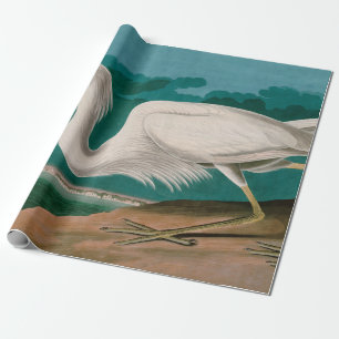 Great White Heron Birds of America Audubon Print Geschenkpapier