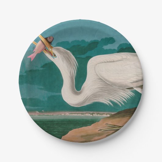 Great White Heron Birds of America Audubon Print Pappteller (Vorderseite)