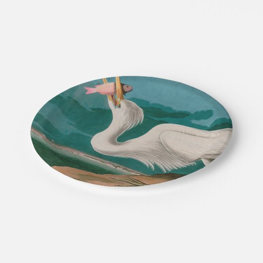Great White Heron Birds of America Audubon Print Pappteller (Schrägansicht)