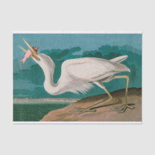 Great White Heron Birds of America Audubon Print Seidenpapier