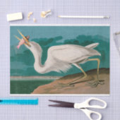 Great White Heron Birds of America Audubon Print Seidenpapier (Handwerk)