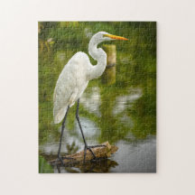 Great White Heron on a Log Animal Fotografy