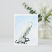 Great White Heron Porträt Fotografie Postkarte (Stehend Vorderseite)