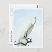 Great White Heron Porträt Fotografie Postkarte (Vorne/Hinten)