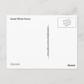 Great White Heron Porträt Fotografie Postkarte (Rückseite)