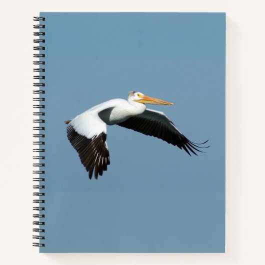 Great White Pelican Notebook Notizblock (Vorderseite)