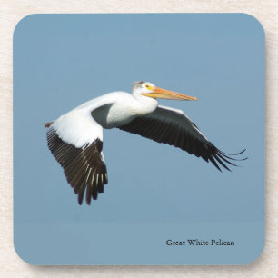Great White Pelican Set 6 Kunststoff-Untersetzer Getränkeuntersetzer