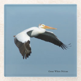 Great White Pelican Untersetzer