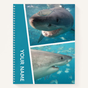 Great White Shark Australia Foto Collage Notizblock