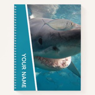Great White Shark Australia Lächeln Teeth Notizblock