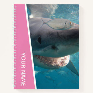 Great White Shark Australia Lächeln Zähne, Pink Gi Notizblock