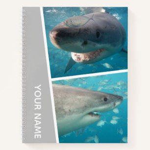 Great White Shark Australien Foto Collage Silver Notizblock