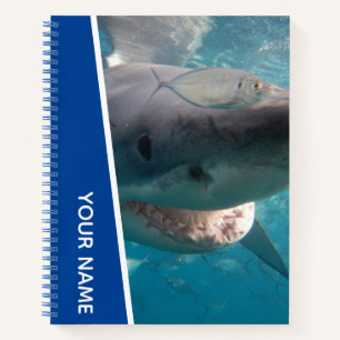 Great White Shark Australien lächeln Zähne, Blue B Notizblock