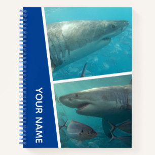Great White Shark Australien Zwei Fotos, Blue Notizblock