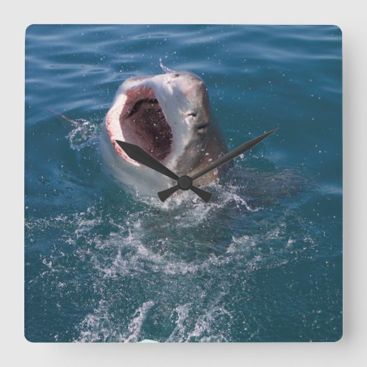 Great White Shark Clock Quadratische Wanduhr (Vorderseite)