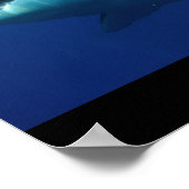 Great White Shark Fish Water Surfer Swim Fin Grau Poster (Ecke)