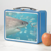 Great White Shark Nah Up Ocean Australien Metall Brotdose (Beispiel)