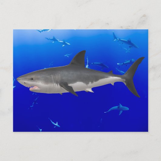 Great White Shark Postcard Postkarte (Vorderseite)