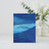 Great White Shark Postcard Postkarte (Stehend Vorderseite)