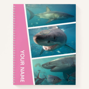 Great White Sharks Australia Foto Collage, Pink Notizblock