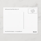 Great Witley Church, UK Postcard Postkarte (Rückseite)