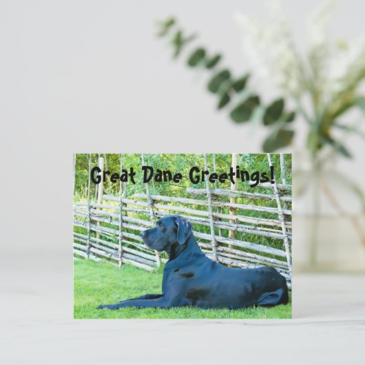 GreatDaneGreetingsPostcard Postkarte (Stehend Vorderseite)