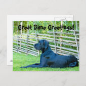 GreatDaneGreetingsPostcard Postkarte (Vorne/Hinten)