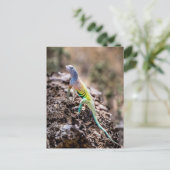 Greater Earless Lizard Postkarte (Stehend Vorderseite)