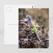 Greater Earless Lizard Postkarte (Vorne/Hinten)
