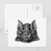 Greater Horseshoe Bat Postkarte (Vorne/Hinten)
