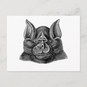Greater Horseshoe Bat Postkarte