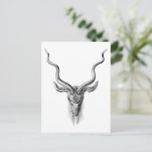 Greater Kudu Postkarte (Stehend Vorderseite)