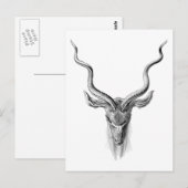Greater Kudu Postkarte (Vorne/Hinten)