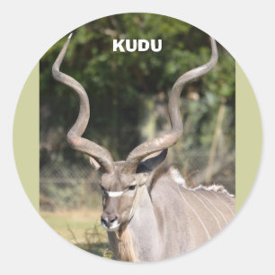 Greater Kudu Runder Aufkleber
