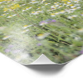 Greater Roadrunner, Geococcyx californianus, Fotodruck (Ecke)