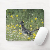 Greater Roadrunner, Geococcyx californianus, Mousepad (Mit Mouse)