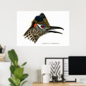 Greater Roadrunner, Geococcyx Californianus Poster (Heimbüro)