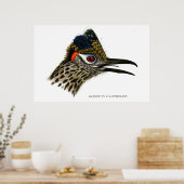 Greater Roadrunner, Geococcyx Californianus Poster (Küche)