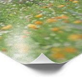 Greater Roadrunner, Geococcyx Fotodruck (Ecke)