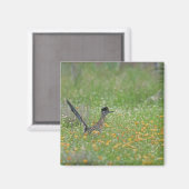 Greater Roadrunner, Geococcyx Magnet (Vorderseite/Rückseite)
