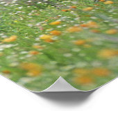 Greater Roadrunner, Geococcyx Poster (Ecke)